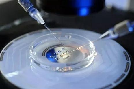 陈主任